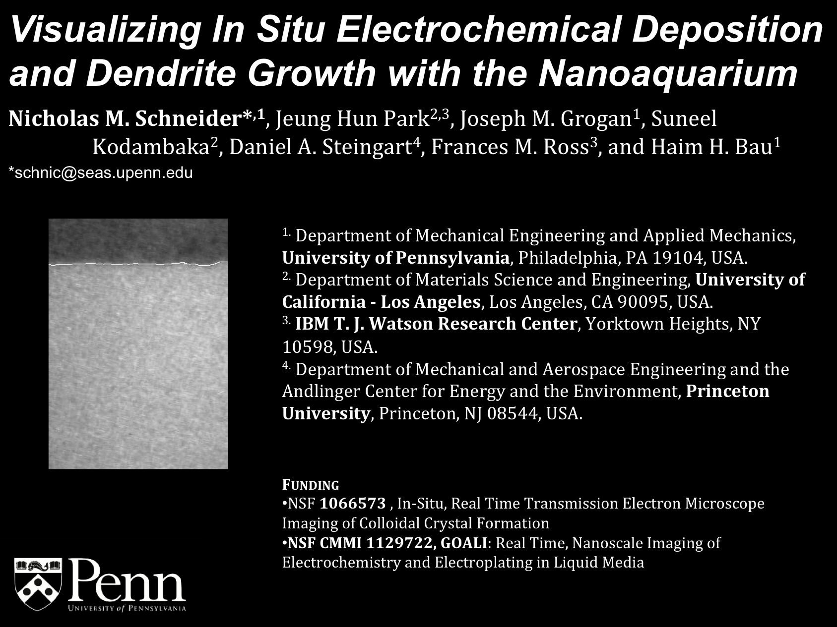 MRS Fall 2013 - Visualizing In Situ Electrochemical Deposition and Dendrite Growth with the Nanoaquarium